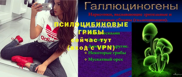 винт Переславль-Залесский