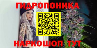 мяу мяу мука Волжск