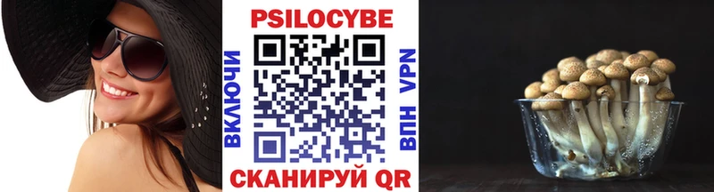 Псилоцибиновые грибы Cubensis  ссылка на мегу зеркало  Алексеевка 
