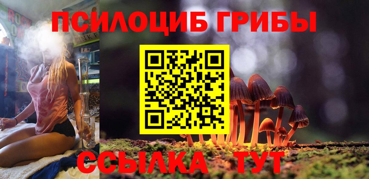 где купить наркоту  Вход с VPN  Алексеевка  Галлюциногенные грибы мухоморы 