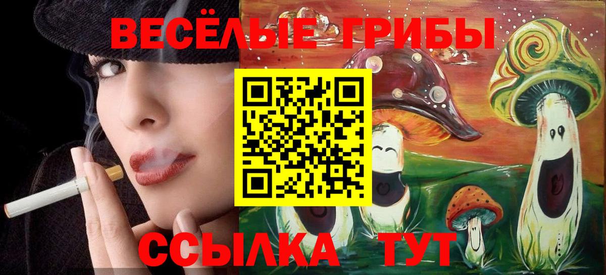 Псилоцибиновые грибы Psilocybine cubensis Алексеевка