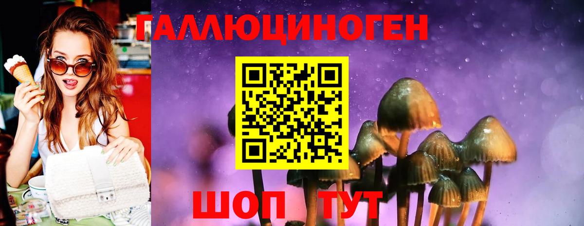 Галлюциногенные грибы GOLDEN TEACHER Алексеевка